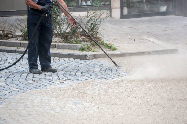 Best Dumpster Area Cleaning  in Cornell, WI